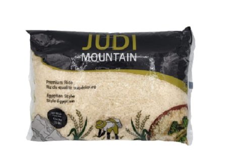 JUDI RICE