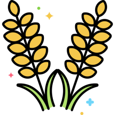Rice&grains